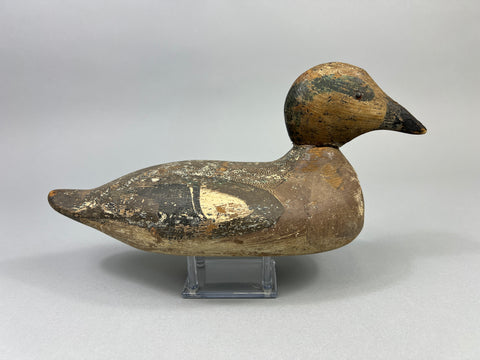 Tule Lake Attributed Wigeon Drake (4894)