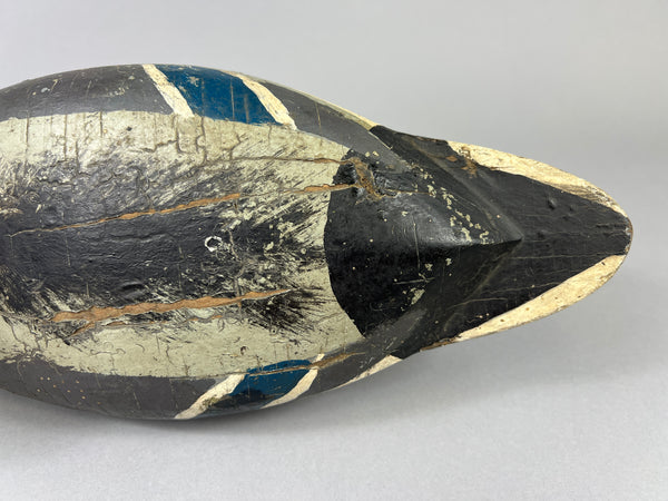 Leonard Doren Mallard Drake (#3644)