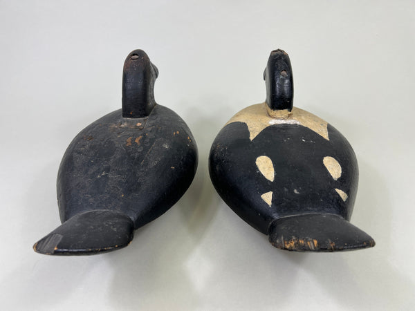 Unknown Maine Pair of Golden Eyes, Inletted Heads (#4745)