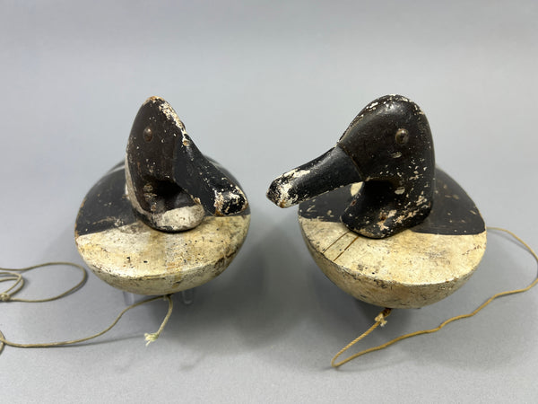 Folky Pair of Unknown Wisconsin Pintails (#3944)
