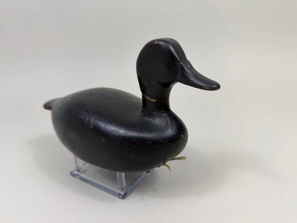 Michigan Area Blue-Wing Teal, Circa 1930's (#4410)