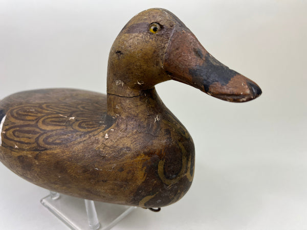 Henry Holmes Mallard Hen, Redshaw Repaint (#5029)