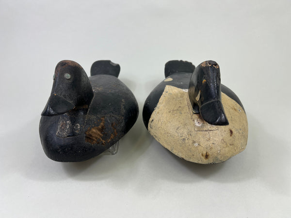 Unknown Maine Pair of Golden Eyes, Inletted Heads (#4745)