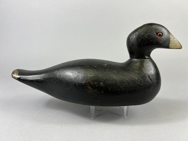 Pratt Factory Coot (#8028)