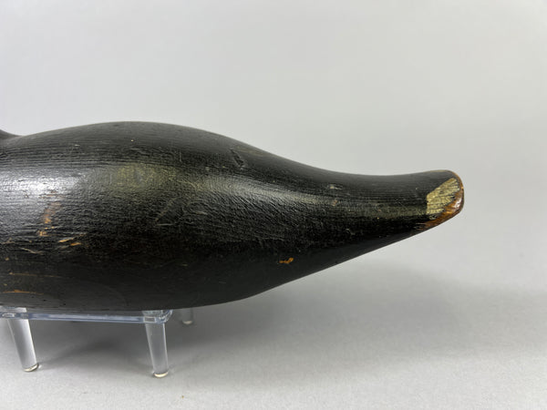 Pratt Factory Coot (#8028)