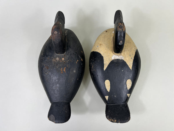 Unknown Maine Pair of Golden Eyes, Inletted Heads (#4745)