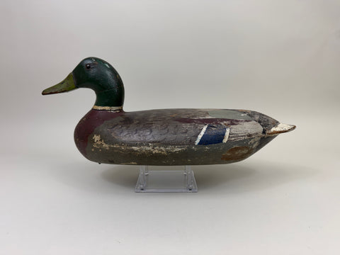 Walter "Tube" Dawson Mallard Drake, Wide body Model (#4014)