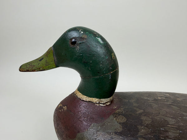 Walter "Tube" Dawson Mallard Drake, Wide body Model (#4014)