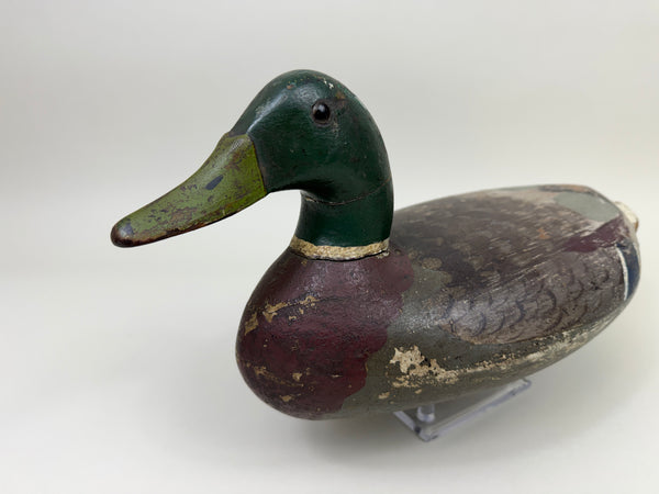 Walter "Tube" Dawson Mallard Drake, Wide body Model (#4014)
