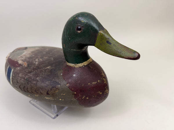Walter "Tube" Dawson Mallard Drake, Wide body Model (#4014)