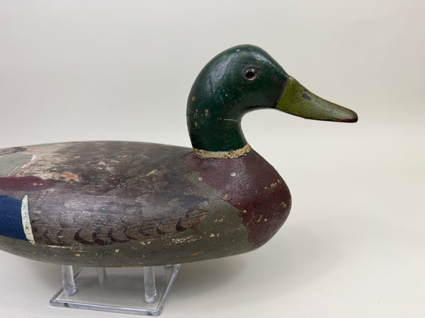 Walter "Tube" Dawson Mallard Drake, Wide body Model (#4014)