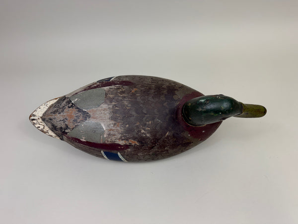 Walter "Tube" Dawson Mallard Drake, Wide body Model (#4014)