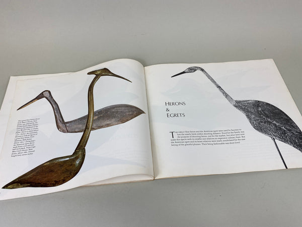 American Decoys 1979  From 1865-1920, Quintana Colio