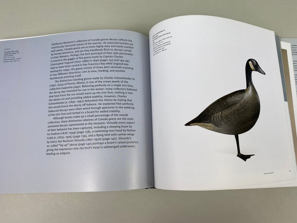 Birds Of A Feather WIldfowl Decoys At The Shelburne Museum