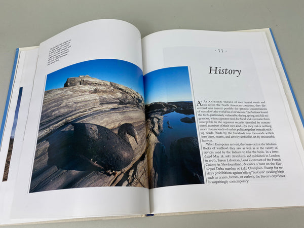 Lot of Two Books- Floating Sculpture The Decoys of The Delaware River & Floaters & Stick-Ups