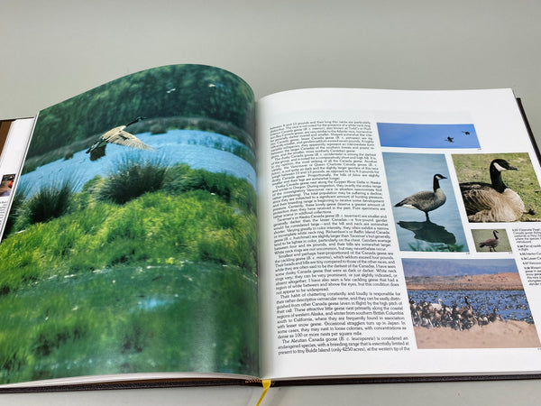 Lot of 5 Various Reference, Carving, and Hunting Books