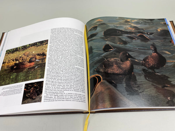 Lot of 5 Various Reference, Carving, and Hunting Books