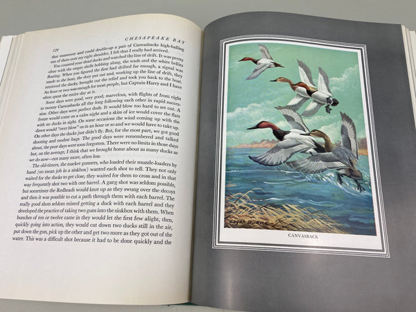 Lot of 5 Various Reference, Carving, and Hunting Books