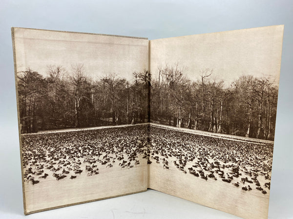 Prairie Wings Pen and Cameran Flight Studies by Edgar M. Queeny