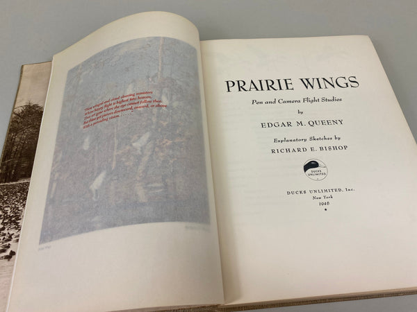 Prairie Wings Pen and Cameran Flight Studies by Edgar M. Queeny