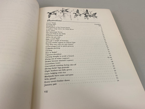 Prairie Wings Pen and Cameran Flight Studies by Edgar M. Queeny