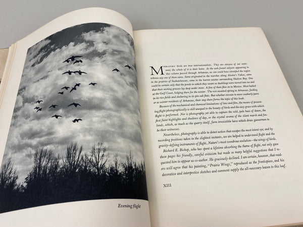 Prairie Wings Pen and Cameran Flight Studies by Edgar M. Queeny