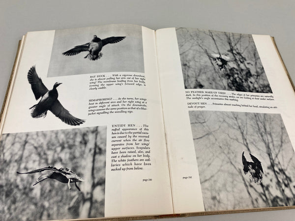 Prairie Wings Pen and Cameran Flight Studies by Edgar M. Queeny