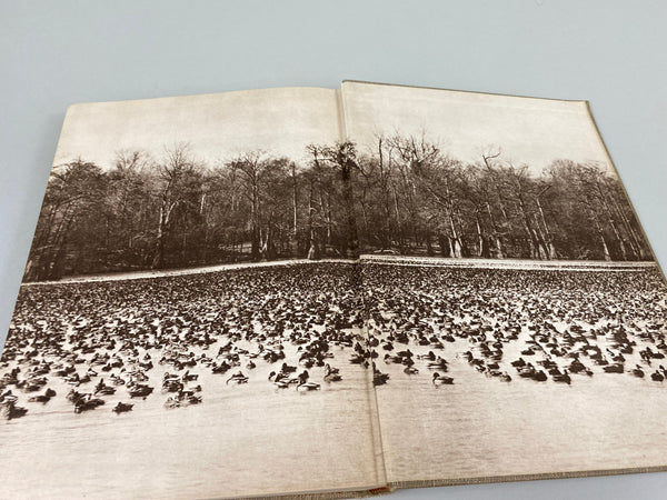 Prairie Wings Pen and Cameran Flight Studies by Edgar M. Queeny