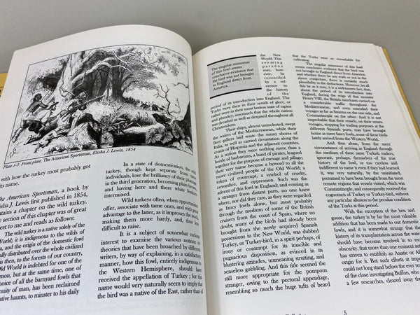 Turkey Calls An Enduring American Folk Art by Howard L. Harlan