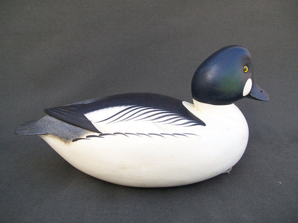 Rick Brown Golden Eye Drake