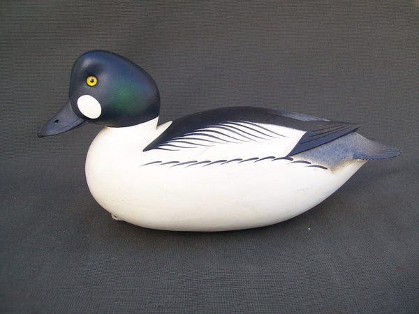 Rick Brown Golden Eye Drake