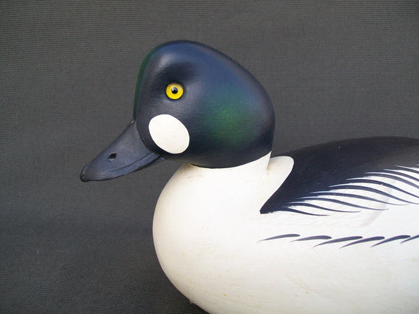 Rick Brown Golden Eye Drake