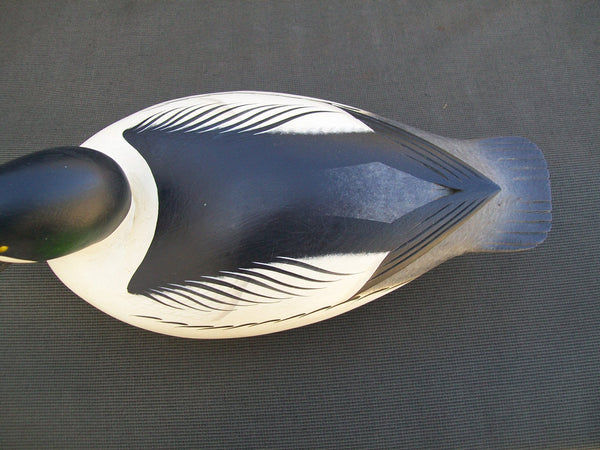 Rick Brown Golden Eye Drake