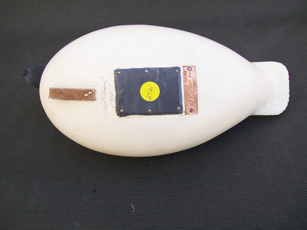 Rick Brown Golden Eye Drake