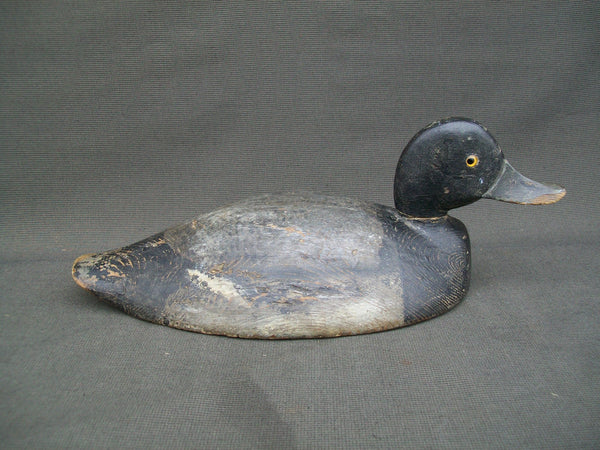 Eastern Ontario Blue Bill - F. Oben