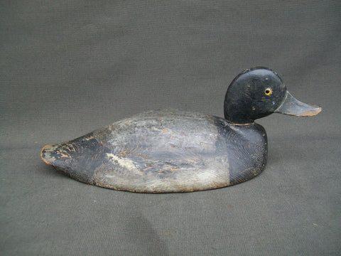 Eastern Ontario Blue Bill - F. Oben