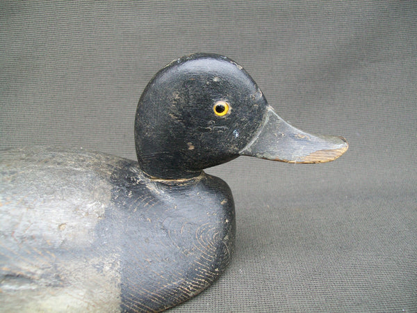 Eastern Ontario Blue Bill - F. Oben