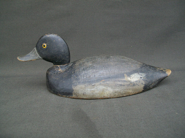 Eastern Ontario Blue Bill - F. Oben