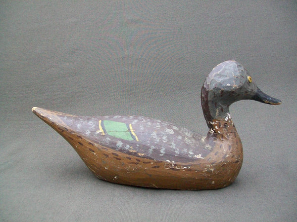 Pintail Hen by Lawrence "Lovey" Fleer, Quincy Illinois, Mississippi River