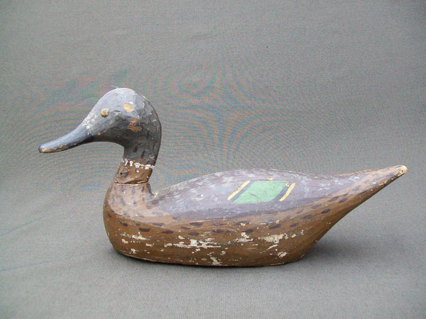 Pintail Hen by Lawrence "Lovey" Fleer, Quincy Illinois, Mississippi River