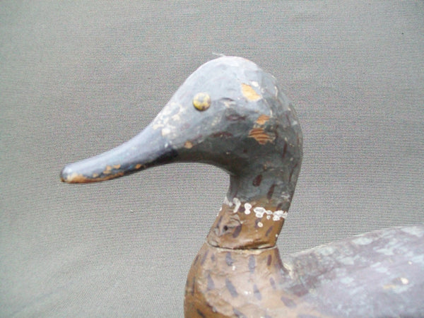 Pintail Hen by Lawrence "Lovey" Fleer, Quincy Illinois, Mississippi River