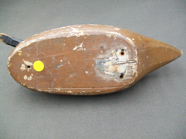 Pintail Hen by Lawrence "Lovey" Fleer, Quincy Illinois, Mississippi River