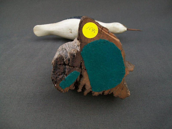 Jerry Siloski Feeding Shorebird - Decatur, Illinois