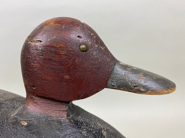 Stiller Oversized Redhead (#1103)