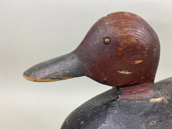 Stiller Oversized Redhead (#1103)