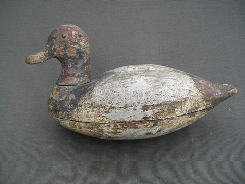 Hollow Illinois River Blue Bill, Circa 1920's