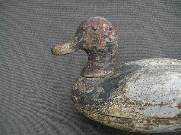 Hollow Illinois River Blue Bill, Circa 1920's