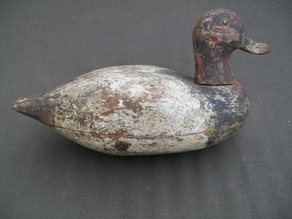 Hollow Illinois River Blue Bill, Circa 1920's