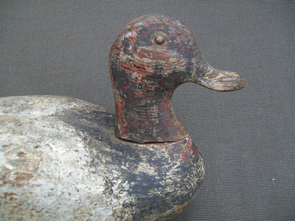 Hollow Illinois River Blue Bill, Circa 1920's