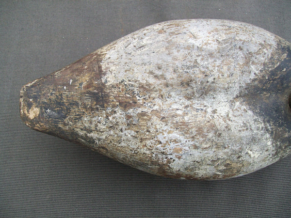 Hollow Illinois River Blue Bill, Circa 1920's